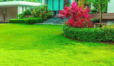  Neka komšije vire preko ograde: Kako do najljepšeg travnjaka u kraju 