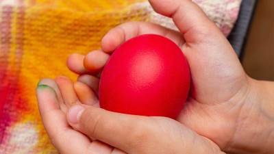  šta je jaje čuvarkuća i gdje se čuva 