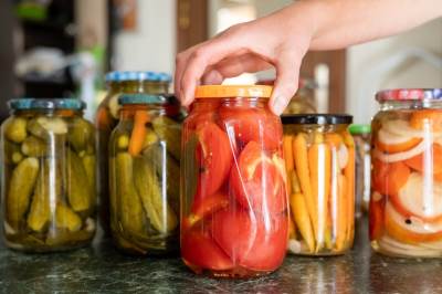  Kako postbiotici utiču na crijevni mikrobiom i imunitet? 