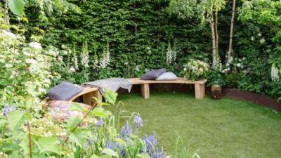  Cvijeće koje se sadi u aprilu 