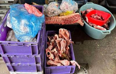  Otkrivena ilegalna klanica kod Subotice 