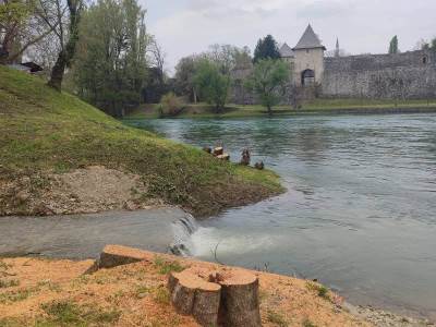  Stanivuković: Utvrdićemo ko je odgovoran za sječu drveća uz Vrbas 