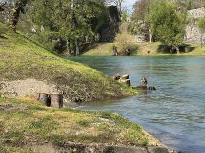  Vode Srpske nisu dale saglasnost za sječu drveća uz Vrbas 