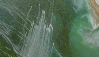  Satelitski snimak iranskih čamaca koji prave haos u Ormuskom moreuzu 