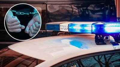  U Novom Sadu pronađeno 15 kg kokaina 