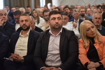  aleksandra pandurević brani ljubišu petrovića 