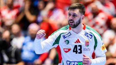  zoran ilic lider madjarske nije dobio poziv srbije 