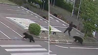  Medvjed upao u fabriku i naselje u Fukušimi 