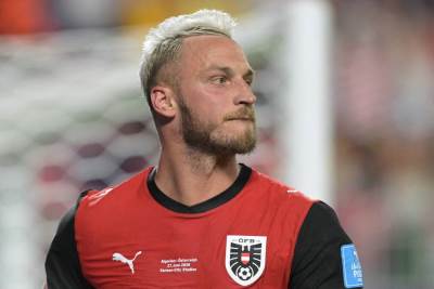  marko arnautovic i vladimir petkovic u sukobu na mundijalu 