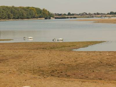  Dunav pao na -140 centimetara: Istok Hrvatske ostao bez vode 