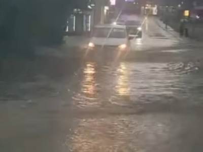  Snažno nevrijeme pogodilo Leskovac: Oluja obarala stabla, povrijeđena radnica marketa 