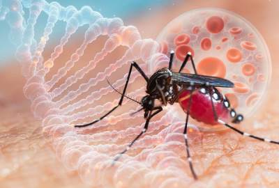  Kako se liječi virus zapadnog nila 