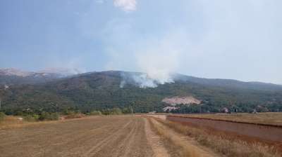  nevesinje požar 