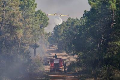  Uhapšena tri Hrvata i Poljakinja zbog izazivanja požara u Zadarskoj županiji 