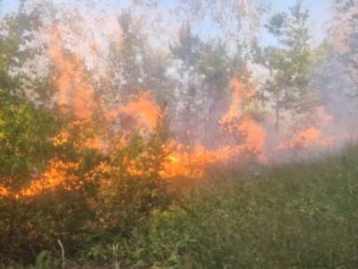  Borba sa vatrenom stihijom: Požar kod Doboja probio zaštitni pojas, vatra guta 100 dunuma šume 