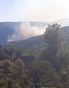  Vatra zahvatila šumu kod manastira Vozućica 