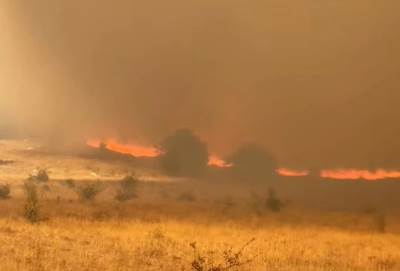  Požar sa Prenja stigao do Hanskog polja 