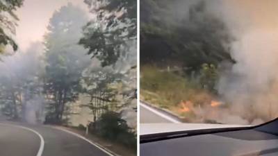  Šavnik u plamenu, veliki požari gutaju šumu 
