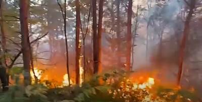  Gornja Piskavica požari 