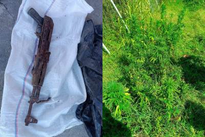  oružje i marihuana 