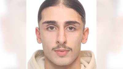  Uhapšen Ali Namdar, jedan od najtraženijih kriminalaca u Evropi 