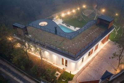  Drvo masline raste usred kuće 