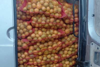  Spriječen šverc 4.500 kilograma mandarina iz Hrvatske u BiH 