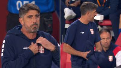  Veljko Paunović bijesan na utakmici Holandija Srbija  