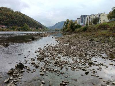  drina 