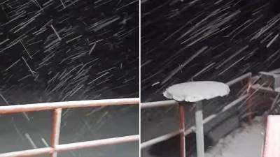  Kamere zabilježile nevjerovatne scene na Vlašiću  
